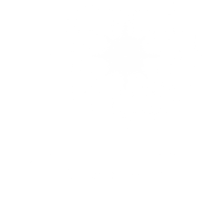 CineArtistry 